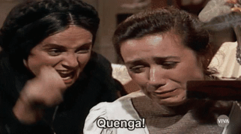 Gif animado de uma pessoa gritando com outra dizendo: Quenga, porque você é quenga! Sobre gays que se expõe na Internet