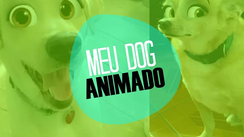 Novo filtro do Snapchat deixa seu cachorro com cara de personagem da Disney; veja fotos