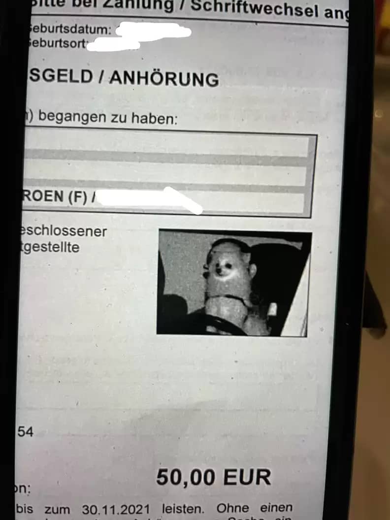 Multa onde aparece a foto do cachorro branco e de porte pequeno atrás do volante do condutor. Abaixo da foto aparece o valor de 50 euros da multa recebida.